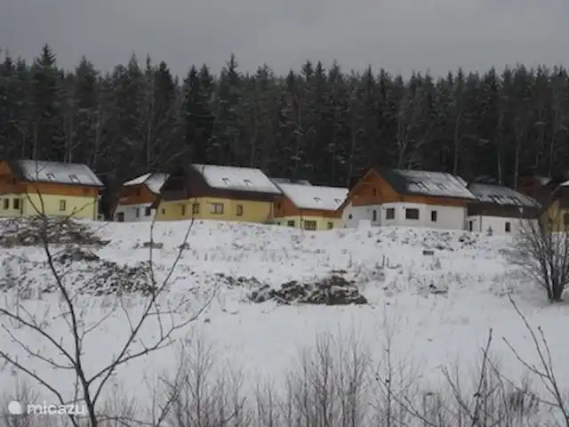 Lipno villa 219 | République Tchèque, Sud de la Bohême, Lipno nad Vltavou - villa En hiver, vous avez la possibilité de faire du patin à glace sur le lac Lipno. Il est également possible de se promener dans la forêt depuis la maison jusqu'à la piste de ski.
