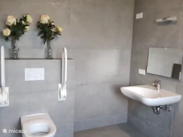 De Zanderhoeve huren in Nederland, Limburg, Wellerlooi - boerderij Ruim toilet, douche, wasgelegenheid, ook geschikt voor minder valide