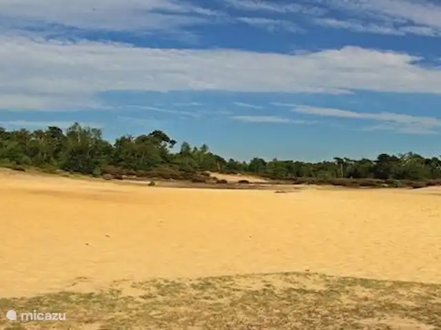 De Zanderhoeve huren in Nederland, Limburg, Wellerlooi - boerderij Maasduinengebied