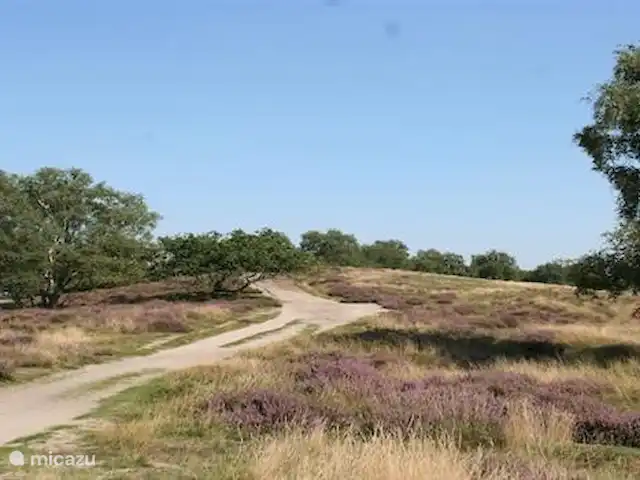 De Zanderhoeve huren in Nederland, Limburg, Wellerlooi - boerderij veel natuur, rust en ruimte in het maasduinengebied