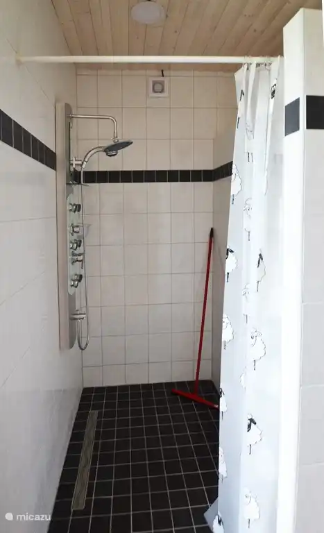 Dusche mit Hydromassage-Dusche.