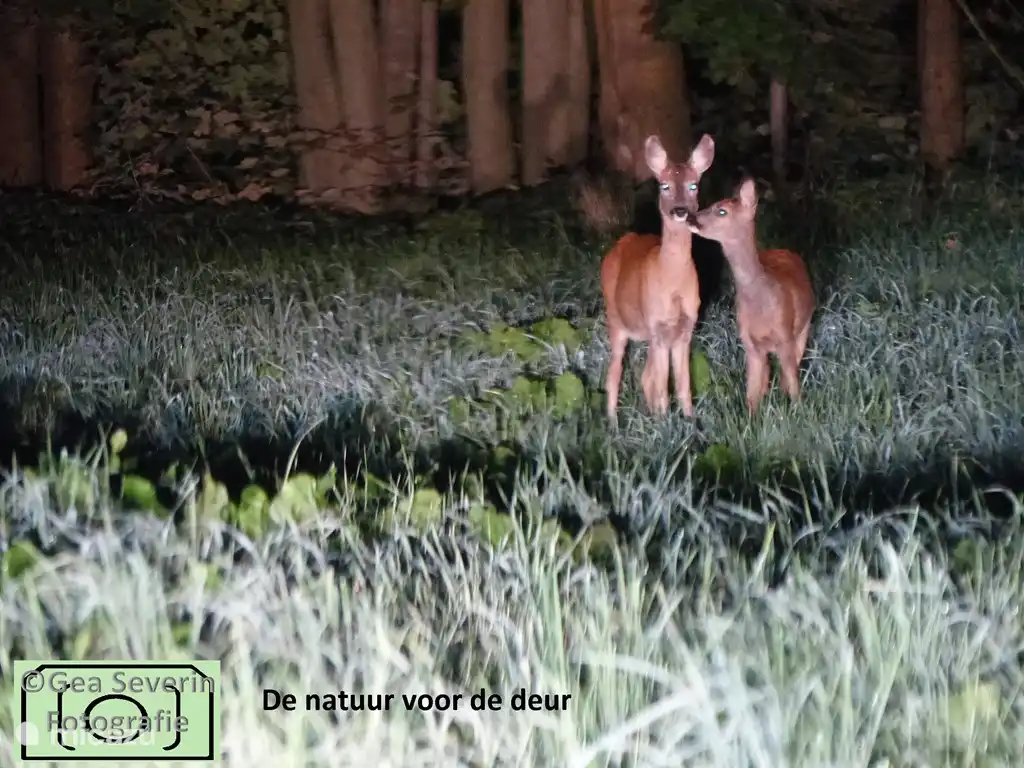 Natur vor der Haustür