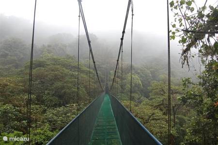 Um in der Gegend zu tun: Monteverde