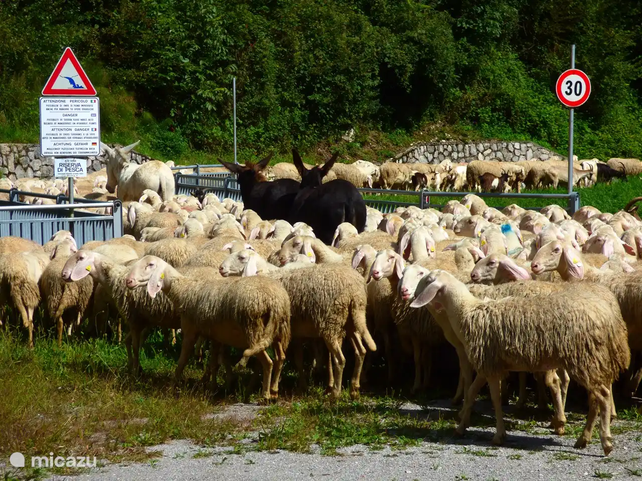 La nature passe par la porte.