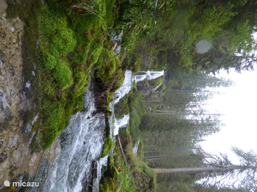 marcher à Madonna, sentiero della Cascata (vous l'avez deviné des cascades et pas une seule)