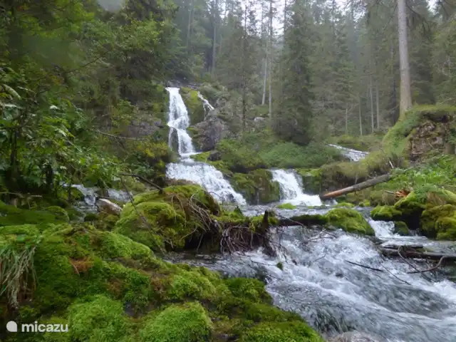 Location de Vacances Italie, Dolomites, Andogno, maison de vacances - La Belle Vita marcher à Madonna, sentiero della Cascata (vous l'avez deviné des cascades et pas une seule)