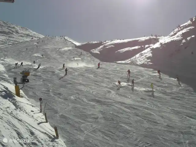 Location de Vacances Italie, Dolomites, Andogno, maison de vacances - La Belle Vita De larges pistes à Andalo !
