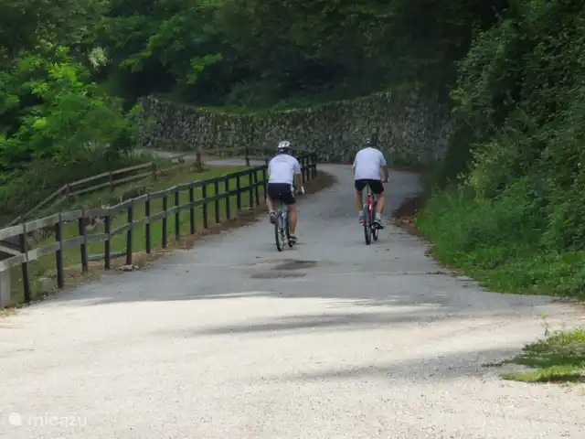 Location de Vacances Italie, Dolomites, Andogno, maison de vacances - La Belle Vita Faire du vélo depuis la maison