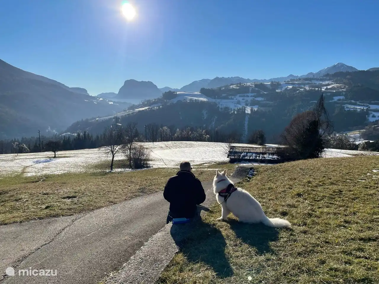 Les animaux de compagnie sont également les bienvenus à La Bella Vita
