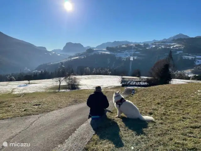 Location de Vacances Italie, Dolomites, Andogno, maison de vacances - La Belle Vita Les animaux de compagnie sont également les bienvenus à La Bella Vita
