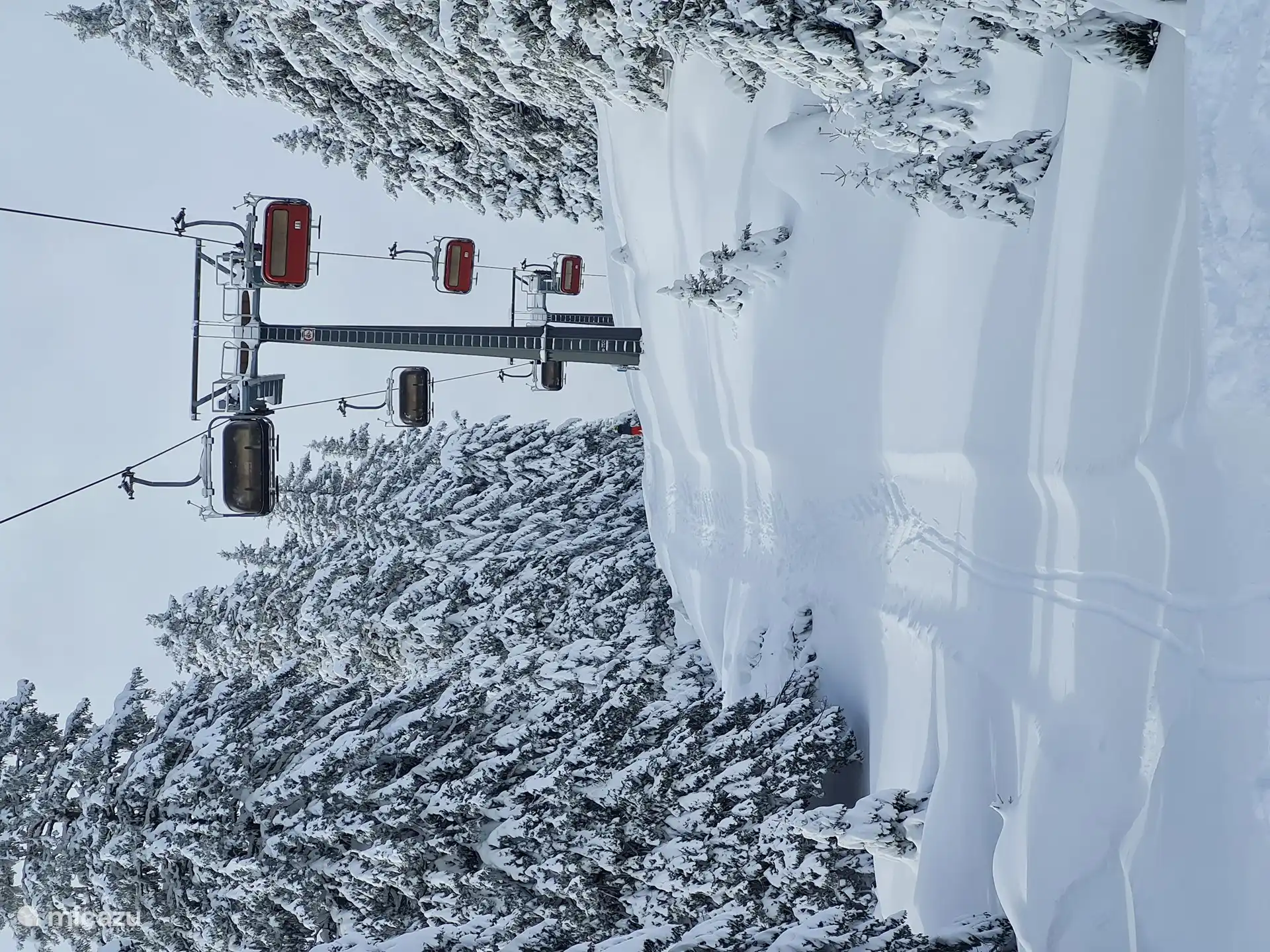 La neige fraîche vient de tomber en 2024 !