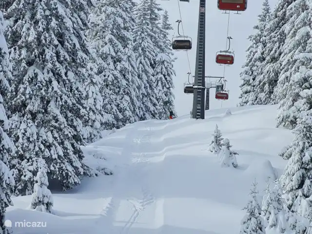 Location de Vacances Italie, Dolomites, Andogno, maison de vacances - La Belle Vita La neige fraîche vient de tomber en 2024 !