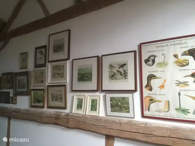 alojamiento y desayuno en Francia, Yonne, Chastellux-sur-Cure – Bed&Breakfast Les quatre vents l'hirondelle, como no podía ser de otra manera con todas estas hermosas aves.