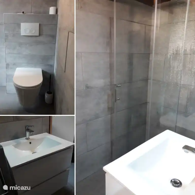 Designer-Badezimmer mit ebenerdiger Dusche, Waschbeckenschrank und freihängender Toilette