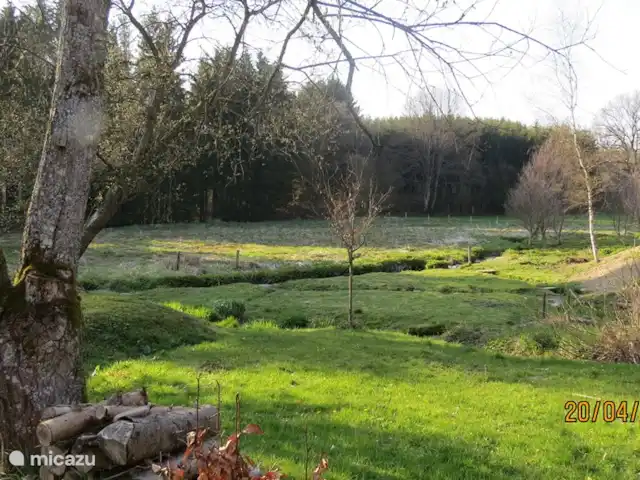 Location de Vacances Belgique, Ardennes, Waimes, chalet - Chalet Pont du Waud Vous pouvez vous promener directement dans la nature depuis le jardin. Le ruisseau babillant le Steinbach et la rivière Amblève bordent directement le site