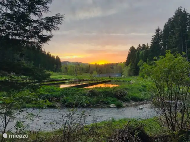 Location de Vacances Belgique, Ardennes, Waimes, chalet - Chalet Pont du Waud Belle nature!