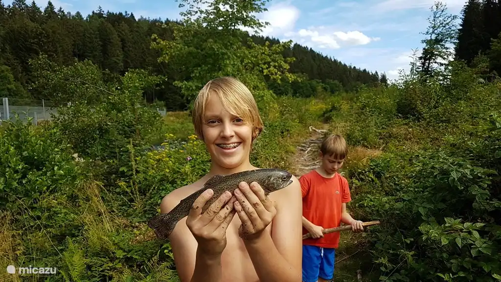 Ambléve ist die Heimat einer Fülle von Fischen; Eliten, Goby, Döbel, Bach und Regenbogenforelle