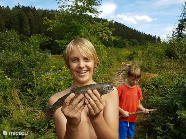 Location de Vacances Belgique, Ardennes, Waimes, chalet - Chalet Pont du Waud L'Amblève est riche en poissons ; vairon, gobie, chevesne, truite mouchetée et truite arc-en-ciel