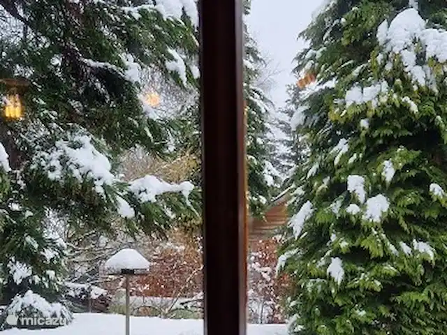 Location de Vacances Belgique, Ardennes, Waimes, chalet - Chalet Pont du Waud Comme ça en hiver