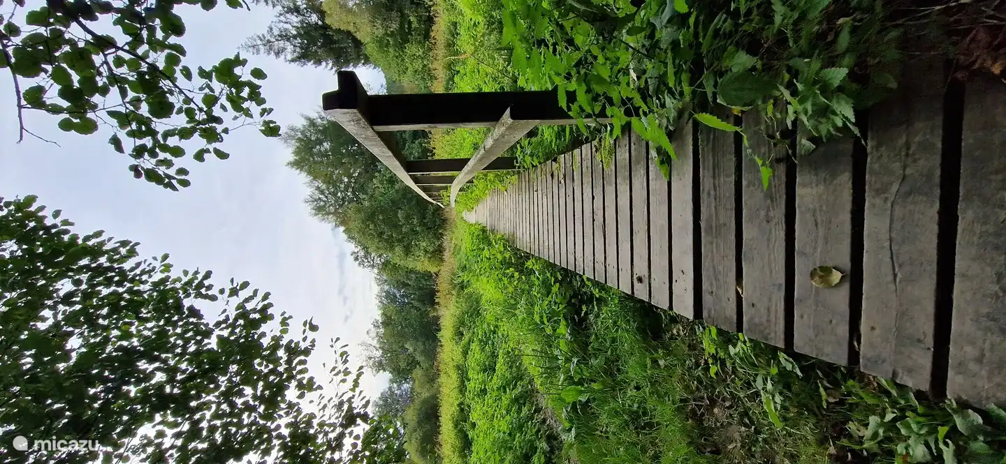 Sie gehen direkt in die Natur!