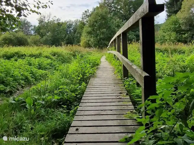 Location de Vacances Belgique, Ardennes, Waimes, chalet - Chalet Pont du Waud Vous entrez directement dans la nature !