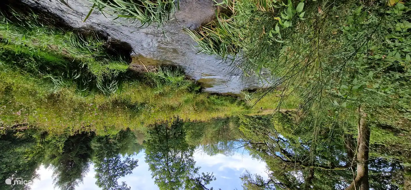 Die Amel entspringt bei Valender im deutschsprachigen Teil der Ardennen, bei uns heißt sie Amblève