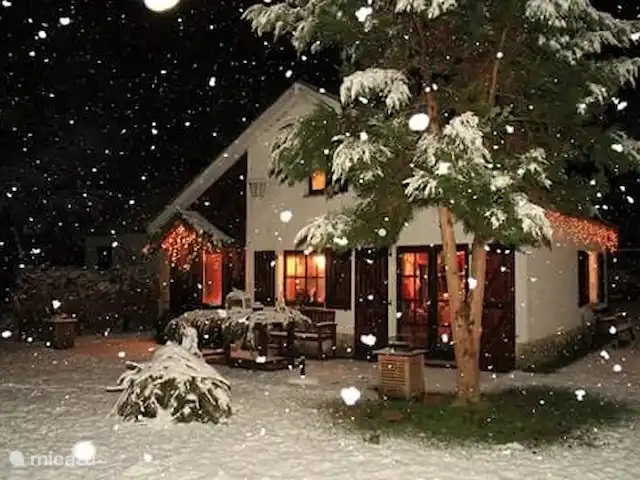 Location de Vacances Belgique, Ardennes, Waimes, chalet - Chalet Pont du Waud Noël 2014