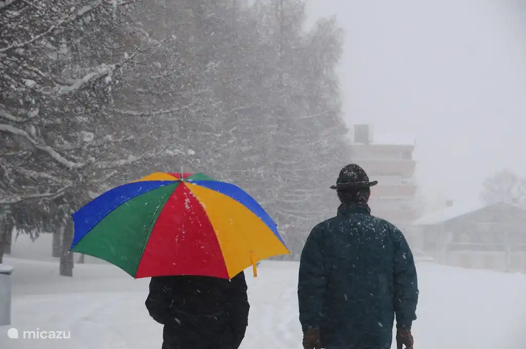 Wandelend over de golfbaan in de winter