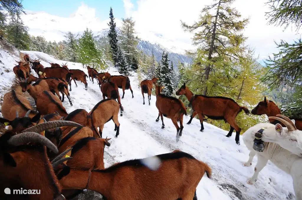 Wat hogerop in de bergen boven Aminona.