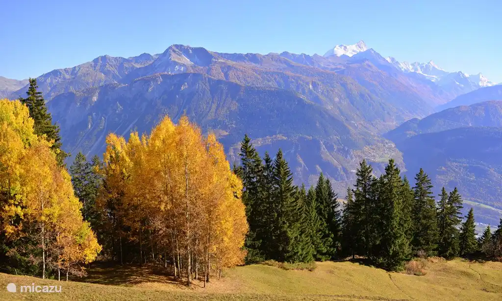 Zicht op de besneeuwde alpentoppen in de herfst