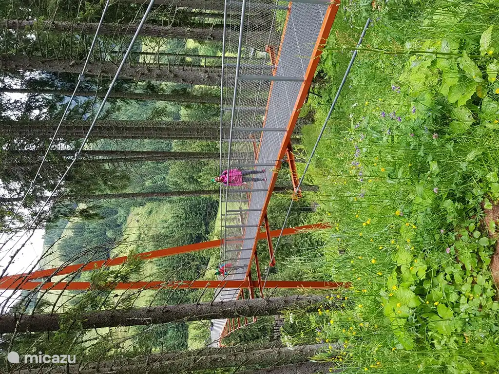 Golden Bridge van Oostenrijk