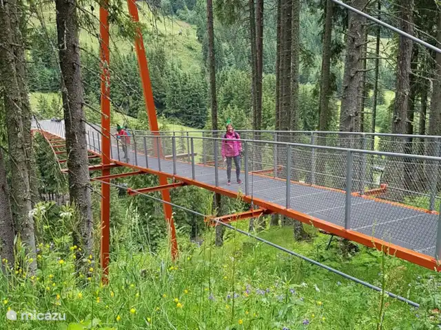 Haus Hollandia / Hasenbach huren in Oostenrijk, Salzburgerland, Hinterglemm - appartement Golden Bridge van Oostenrijk