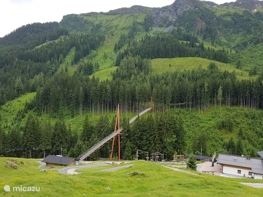 Boomtoppen wandeling