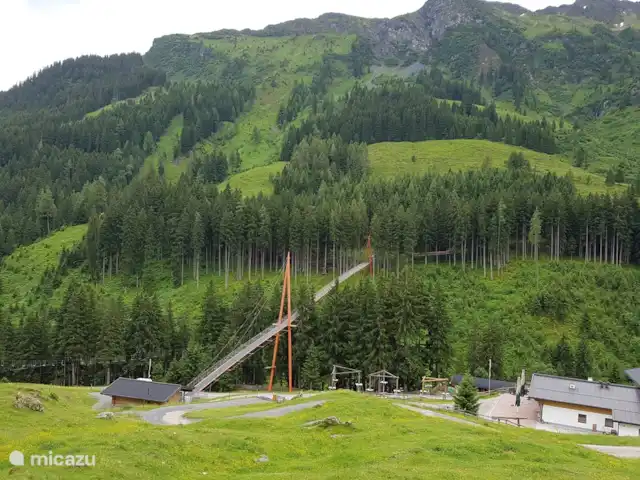 Haus Hollandia / Hasenbach huren in Oostenrijk, Salzburgerland, Hinterglemm - appartement Boomtoppen wandeling