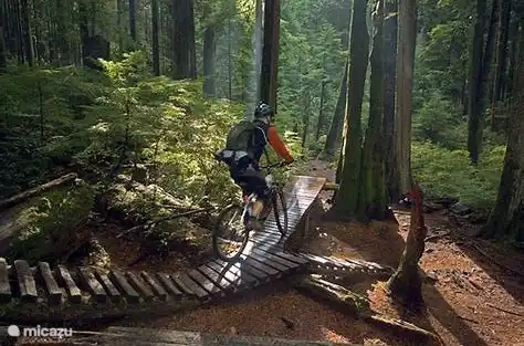 Uitgebreide Moutain-bike mogelijkheden in de omgeving