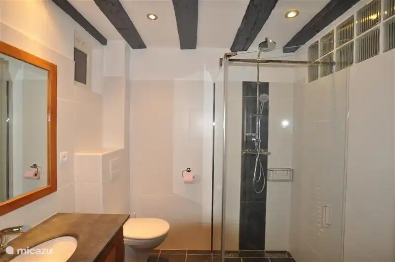 Bathroom with shower and toilet on the ground floor.