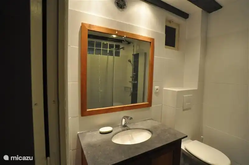 Bathroom with shower and toilet on the ground floor.