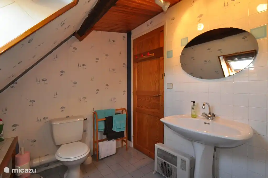 Upstairs bathroom with bath (shower) and toilet.