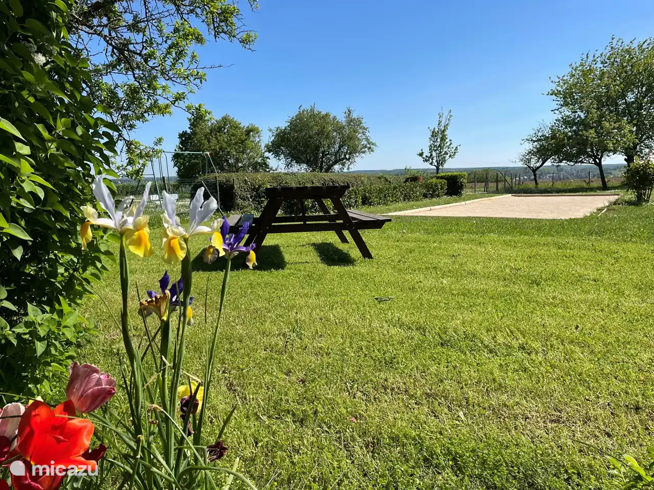 Jeu-de-boules court / Pétangue / Boulodrome.
The Boules are present.