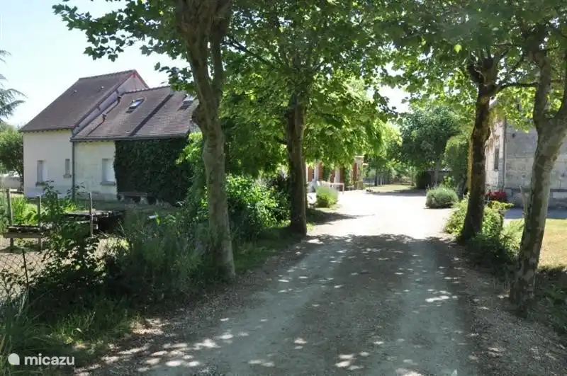 The driveway to the courtyard.