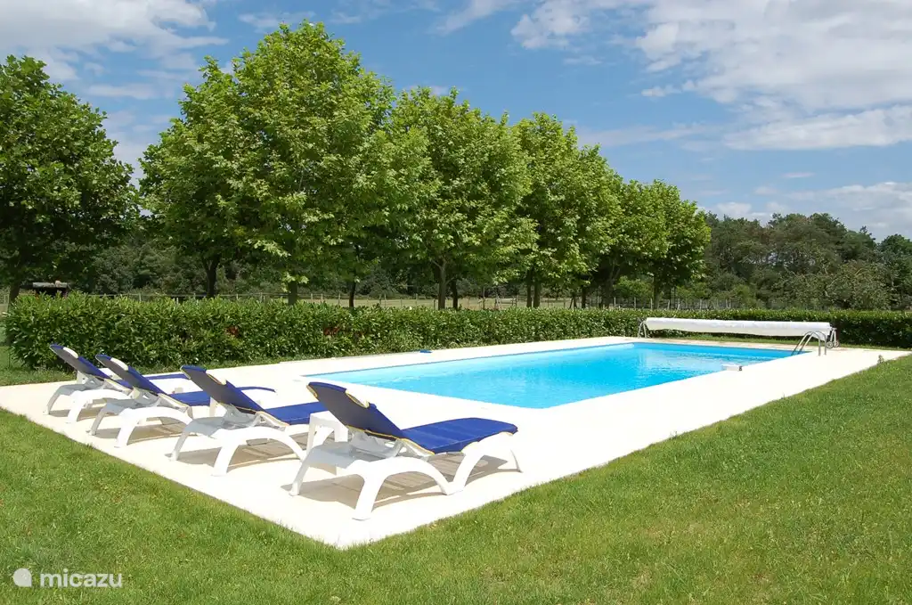 The swimming pool with shady platanen trees