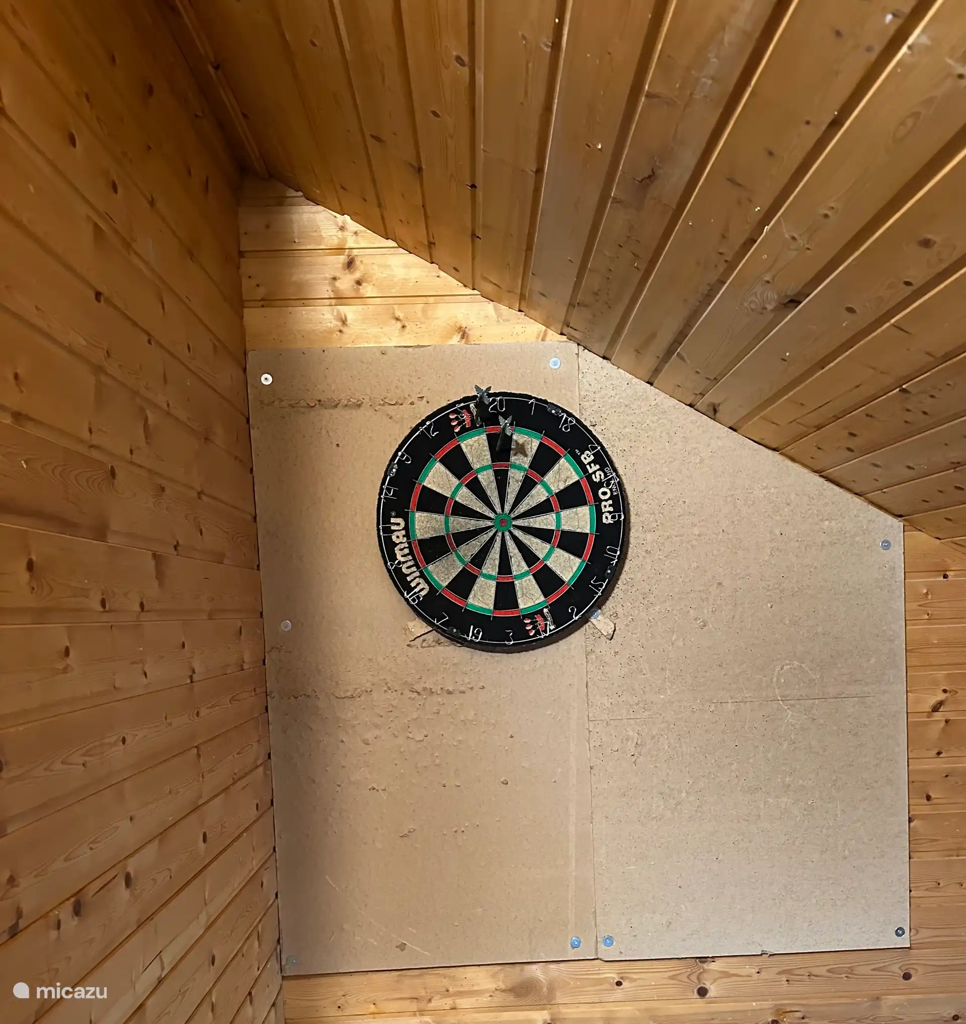 Professionelle Dartscheibe!!