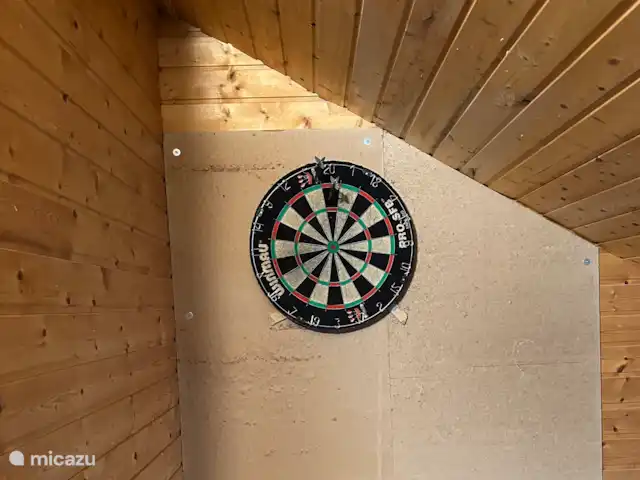 Haus Schwalefeld huren in Duitsland, Sauerland, Willingen - appartement Professioneel dartbord!!