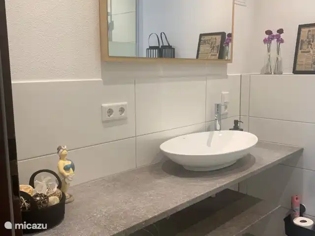Haus Schwalefeld huren in Duitsland, Sauerland, Willingen - appartement Nieuwe badkamer juli 2024