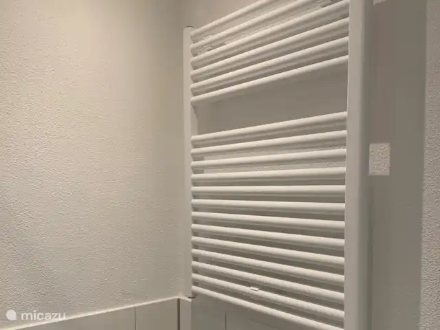 Haus Schwalefeld huren in Duitsland, Sauerland, Willingen - appartement Heerlijk warme design radiator