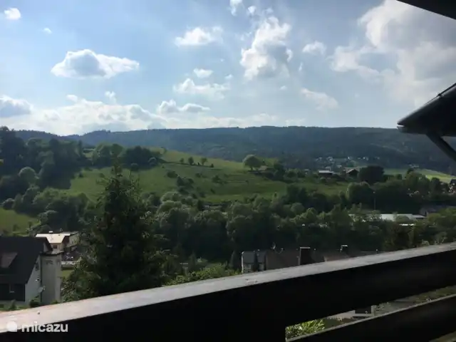 Haus Schwalefeld huren in Duitsland, Sauerland, Willingen - appartement uitzicht vanaf balkon