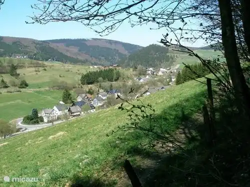 Blick vom Steg oberhalb