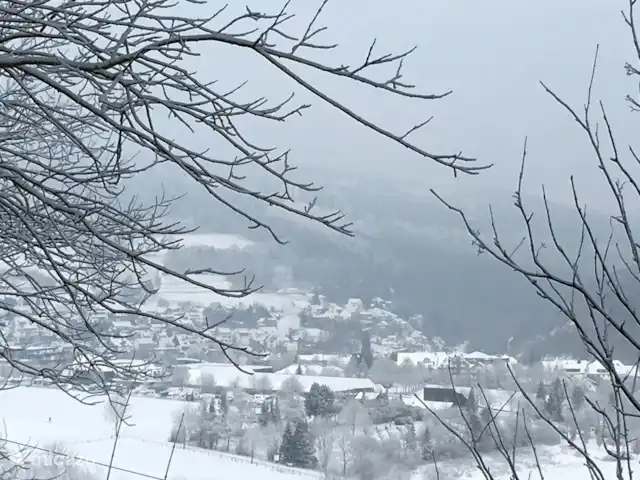 Haus Schwalefeld huren in Duitsland, Sauerland, Willingen - appartement winterlandschap Willigen