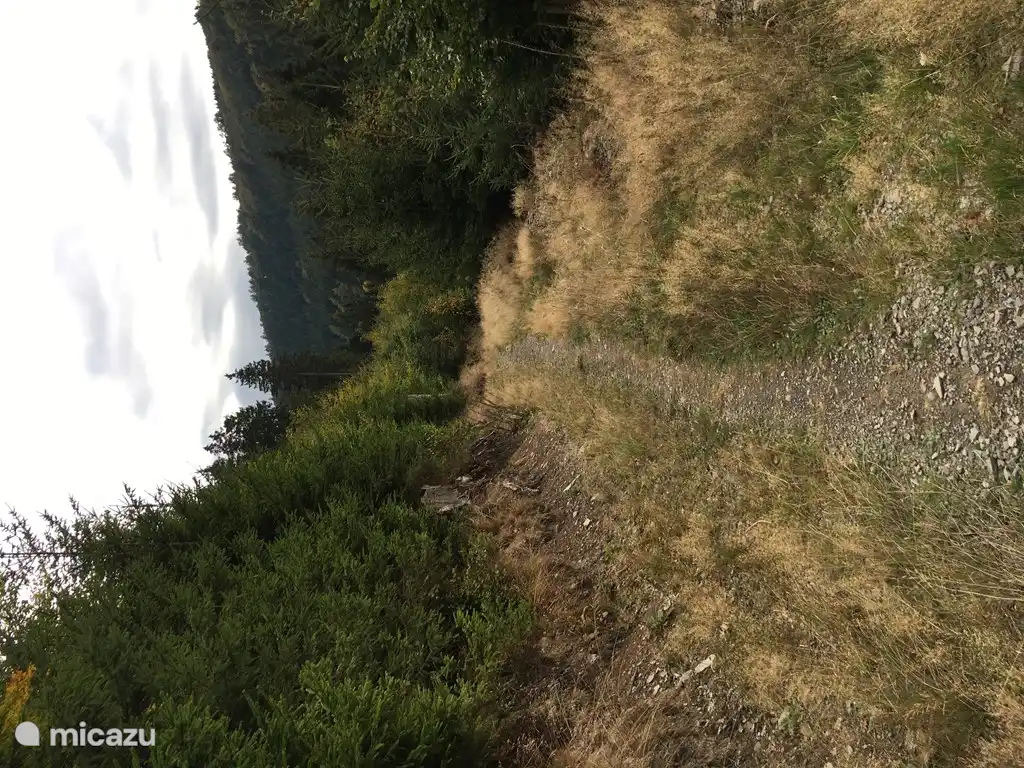 Gehweg hinter dem Haus