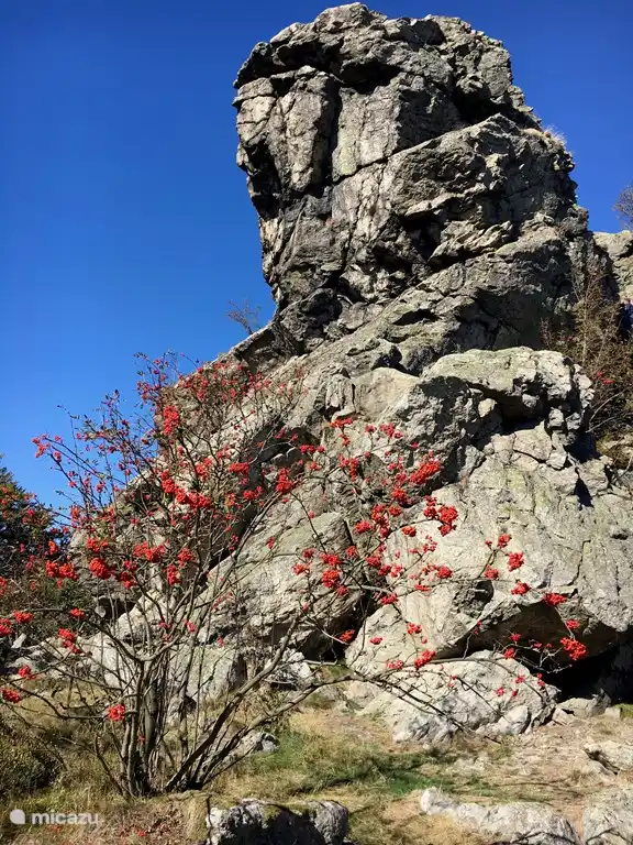Die Bruchhauser Steine sind eine Felsformation in unmittelbarer Nähe von Haus Schwalefeld
Für Kinder macht das Klettern Spaß und es gibt schöne Wanderwege mit schönen Fernblicken